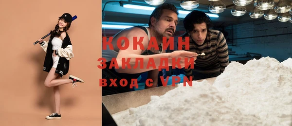 индика Алзамай