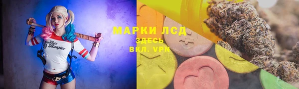 индика Алзамай