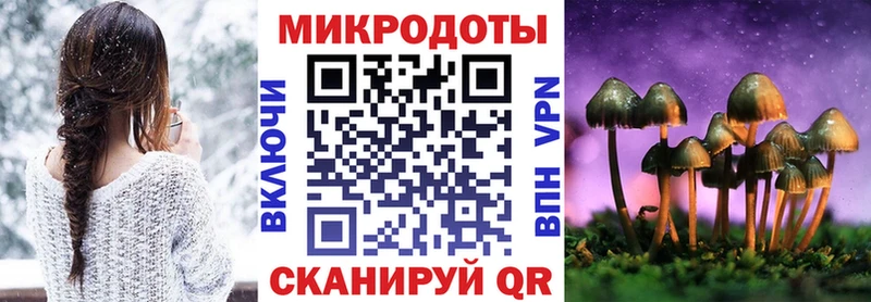 купить наркотик  Устюжна  Галлюциногенные грибы Psilocybine cubensis 